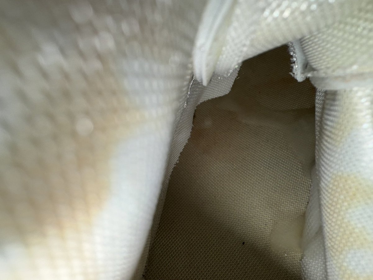 Focie (@focie4) on Twitter photo 