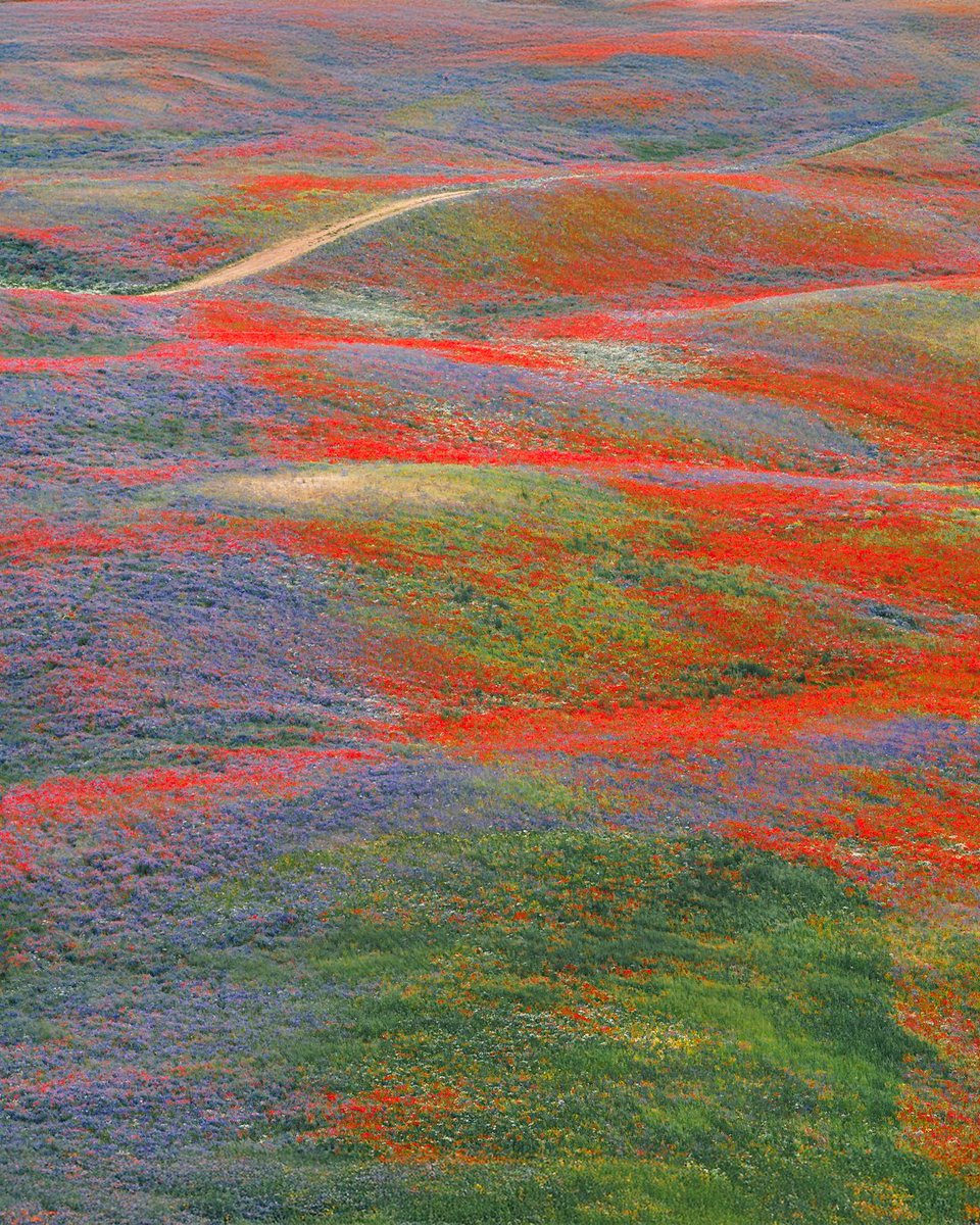 Пришёл украсть ваши сердечки.

instagram.com/p/DLhVYKxI68g