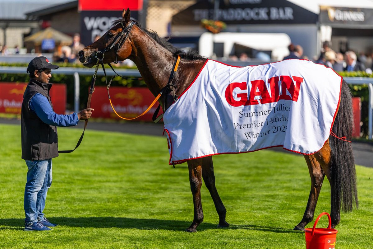 GAIN Equine Nutrition tweet media