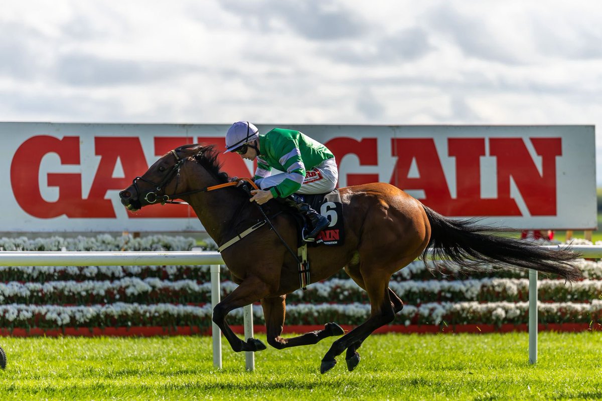 GAIN Equine Nutrition tweet media