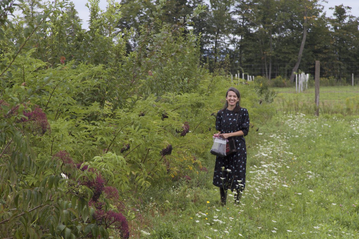 Propagate tweet media