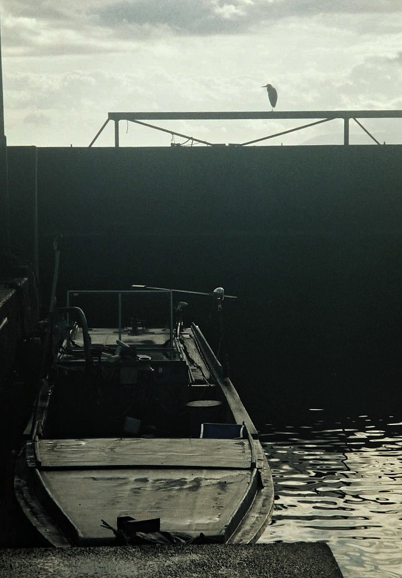 Mina37 (@mina_371525) on Twitter photo 