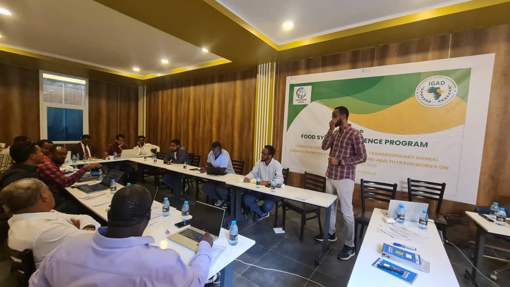 IGAD_STVS's tweet image. 📍Mogadishu | June 21–23, 2025
IGAD-ISTVS, with @WorldBank support, hosted a regional workshop to prioritize Transboundary Animal Diseases (TADs) & strengthen One Health frameworks in IGAD.
🎯 Objectives: Identify priority TADs, assess gaps, and boost regional coordination.…