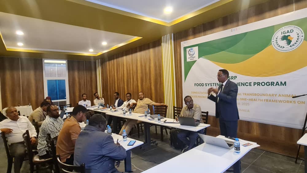 IGAD_STVS's tweet image. 📍Mogadishu | June 21–23, 2025
IGAD-ISTVS, with @WorldBank support, hosted a regional workshop to prioritize Transboundary Animal Diseases (TADs) & strengthen One Health frameworks in IGAD.
🎯 Objectives: Identify priority TADs, assess gaps, and boost regional coordination.…