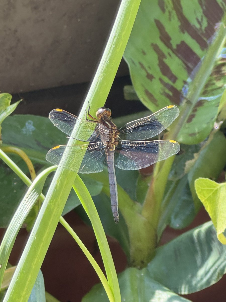 Second call for abstracts - Deadline August 1, 2025. Reduced meeting fees before August 1. The Xi'an Carbon Meeting, October 16-18, 2025. Carbon pollution, sequestration and conversion to energy and chemicals. Scientific writing workshops.
xiancarbonmeeting.com