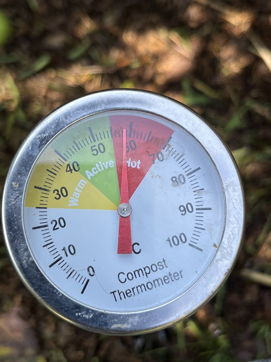 MatronsVeggies's tweet image. Love my compost thermometer! Horse manure + grass clippings + shredded paper and cardboard = 🔥 #compost