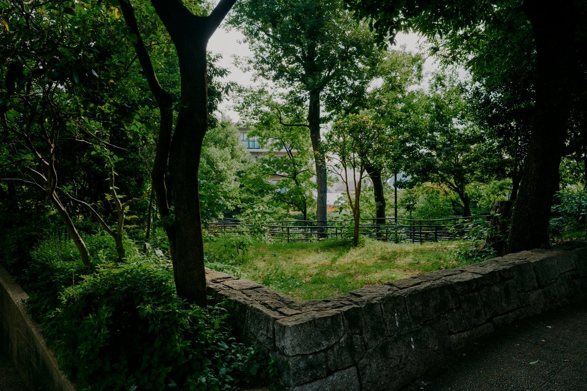 sharifshameem's tweet image. I’ve been working from Tokyo for the past few weeks. It’s a wonderful place to focus on creating something new, go on runs, be inspired, and eat delicious food. The Notion founders really knew what they were doing!