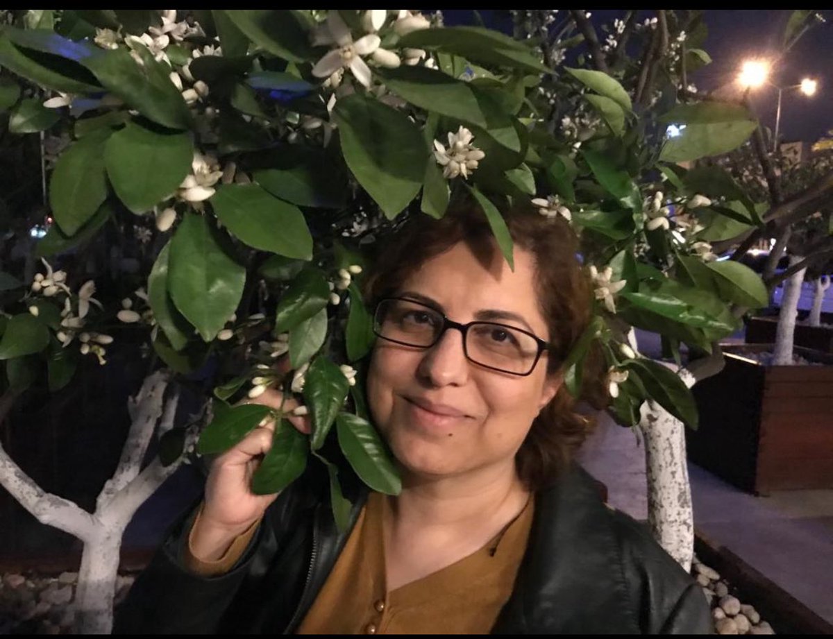 Rahmetli Halûk Savaş hocamızın kıymetli eşi Doç. Dr. Esen Savaş'ın naaşı, Yarın (1 Temmuz 2025) saat 16.00'da Adana Kabasakal Mezarlığı’nda defnedilecektir.
<a href="/DoktorEsenSavas/">Doç. Dr. Esen Savaş 📚</a> 
<a href="/bedosavas/">Savas, MD</a> 
<a href="/EsraasariiSar/">Esra Sarı</a>