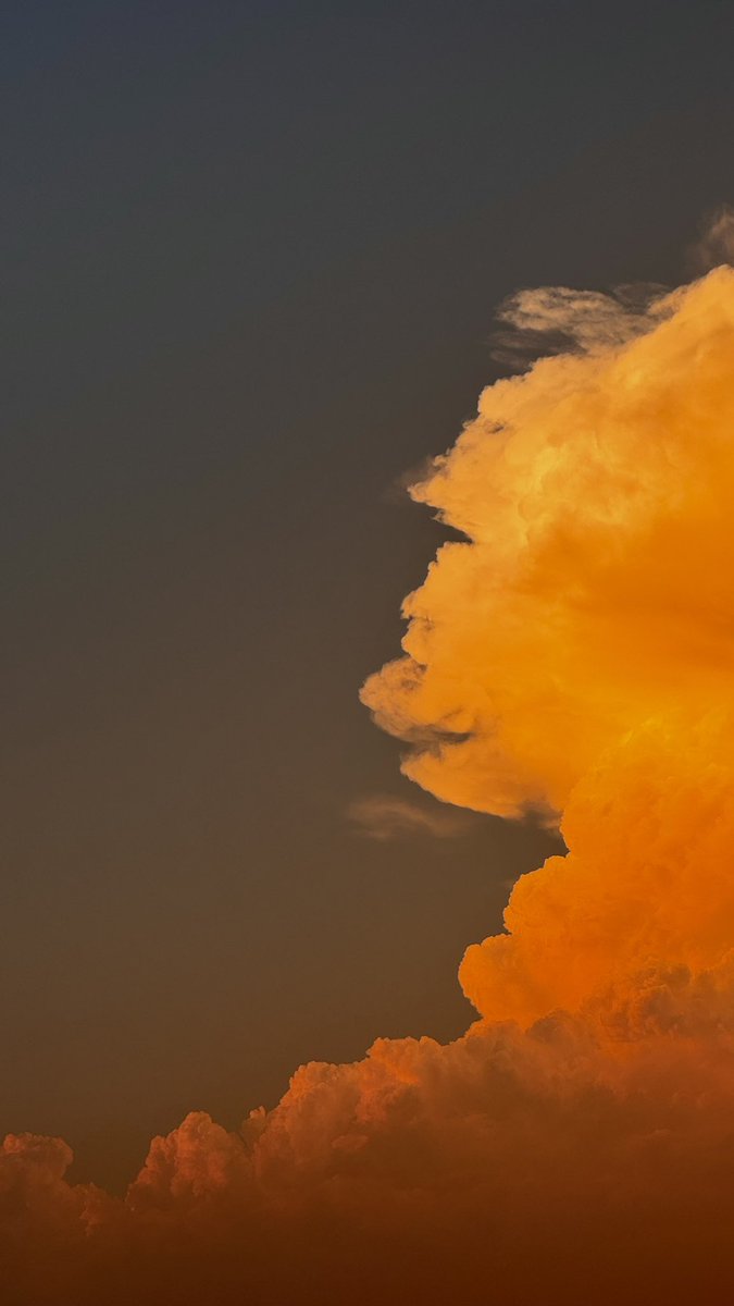 なかなか見事な夕焼けでありました。