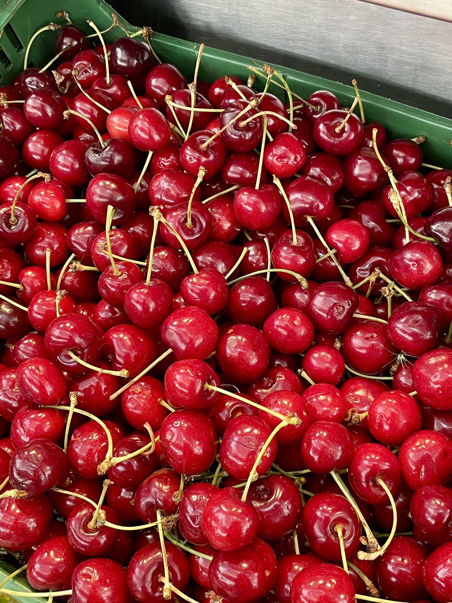 Summer is here 🍒