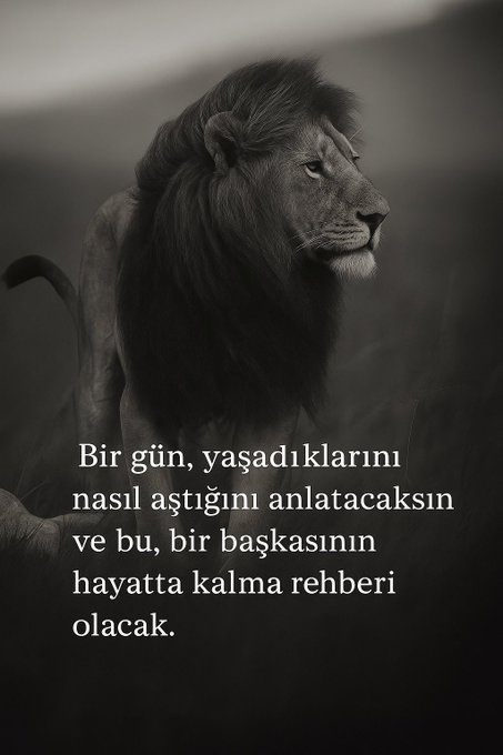 Girişimci Hisler (@girisimcihisler) on Twitter photo 