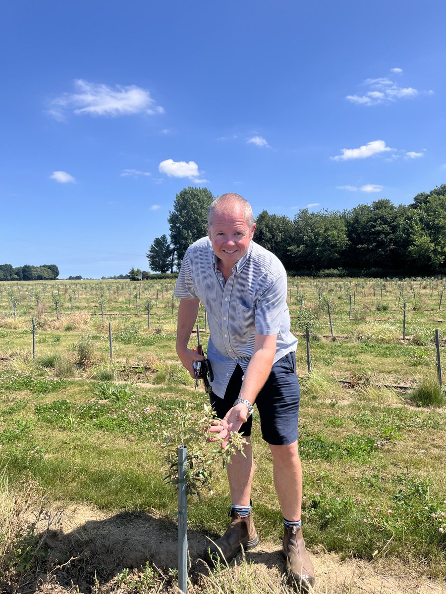 Louise Impey (@louisearable) on Twitter photo Wow! Perfect weather for visiting the country’s first commercial olive grove (and the most northerly olive grove in the world) - great effort and huge commitment from the Hoyles family <a href="/dgwhoyles/">David Hoyles</a> <a href="/FarmersWeekly/">Farmers Weekly</a> Wow! Perfect weather for visiting the country’s first commercial olive grove (and the most northerly olive grove in the world) - great effort and huge commitment from the Hoyles family <a href="/dgwhoyles/">David Hoyles</a> <a href="/FarmersWeekly/">Farmers Weekly</a>