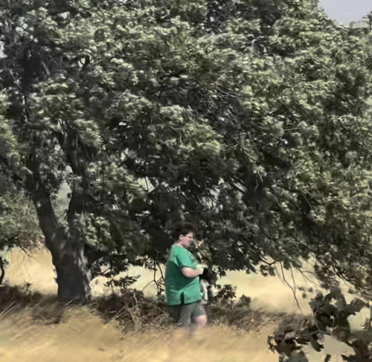 Seferihisar yangınında köpeği yangında kaderine terk etmeyen koca yürekli çocuk . 
 #izmiryanıyor