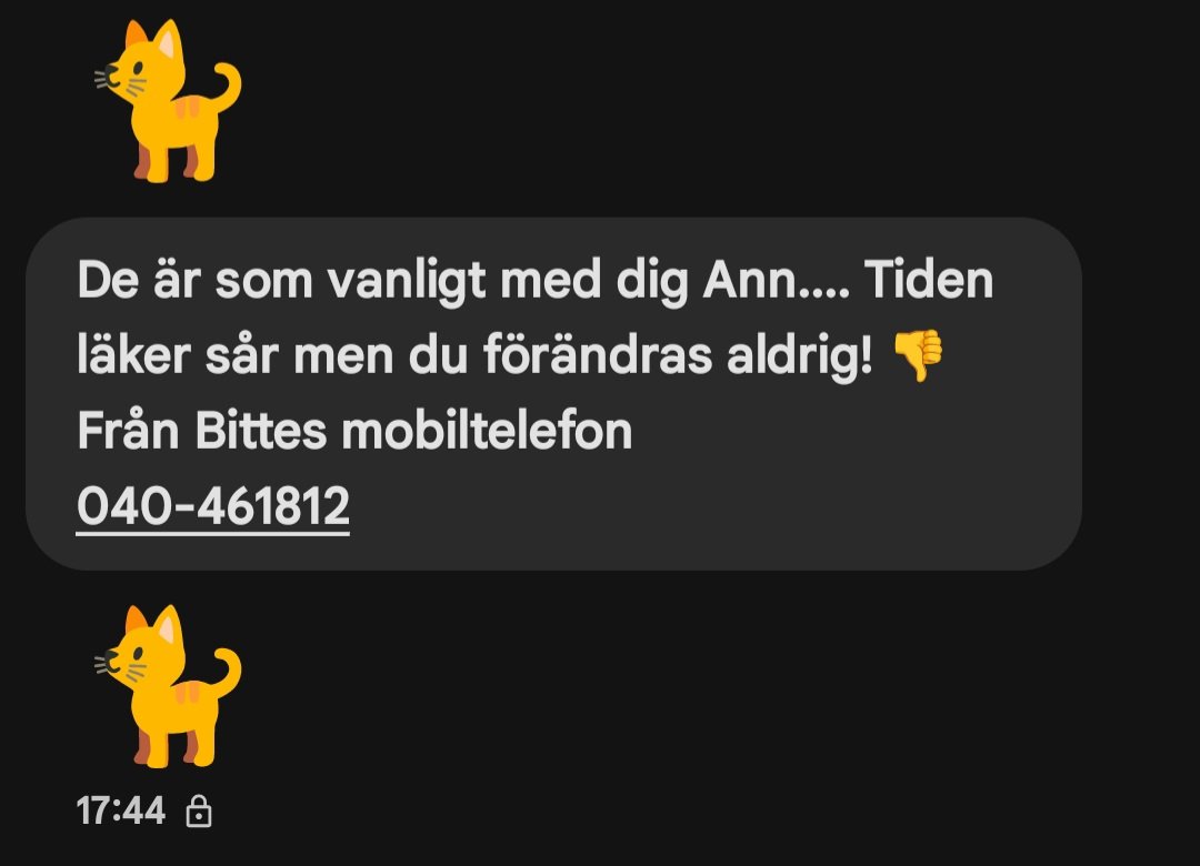 Elakt meddelande från bitte då jao undrade  när hon tänkt ge tebaks mina 20 kronor från fikat o e de nån som vet va hon menar me dom katt emojsarna mvh ann gillar ej kattor