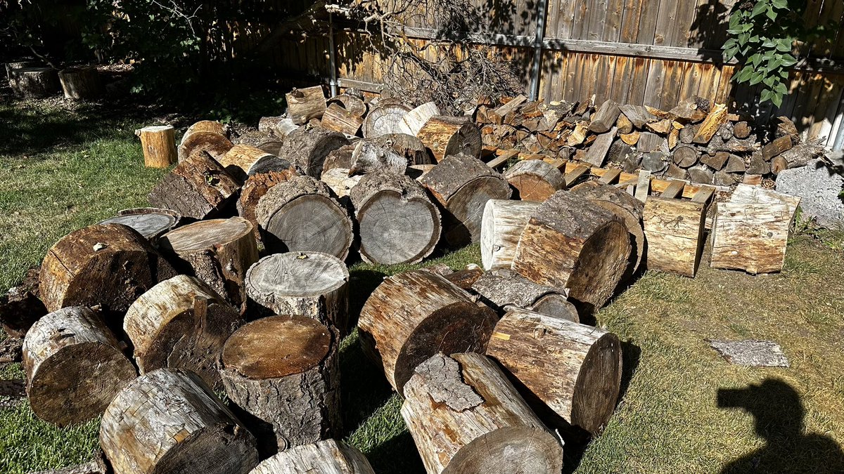justmikekey's tweet image. If you want a workout that will make you feel like a man; swing an axe and chop rounds.