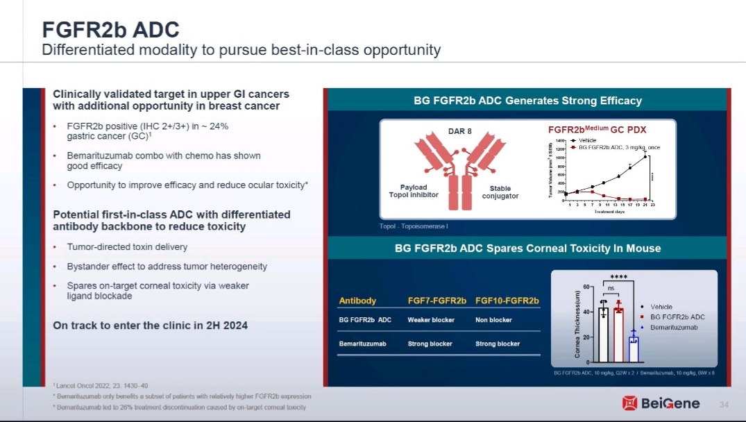 🚨 BREAKING: #FORTITUDE101 Trial Positive
📢 Bemarituzumab + chemo shows significant OS benefit in FGFR2b+ advanced #gastric &amp; GEJ cancer (HER2–) in 1L setting
🧪 Target: FGFR2b (IHC 2+/3+ in ≥10%)
📈 Improved OS at pre-specified interim
⚠️ AE: Ocular toxicity (keratitis, dry