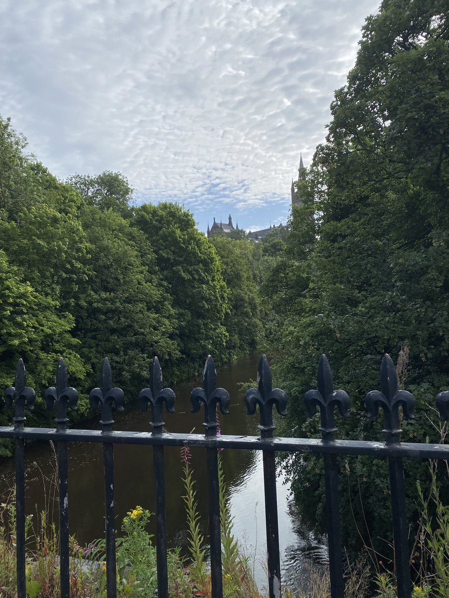 María Piqueras-Pérez tweet media