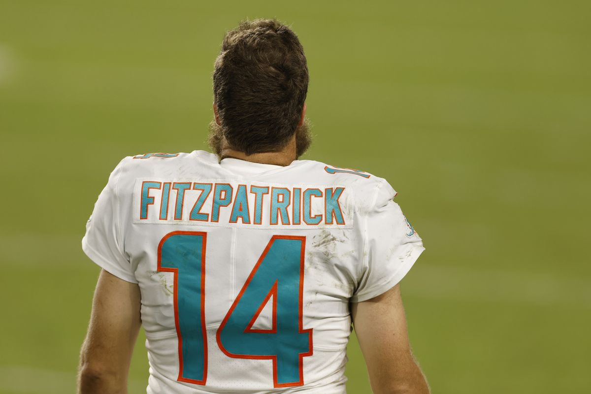 PFTCommenter's tweet photo. FIRST LOOK Minkah Fitzpatrick as a Dolphin https://t.co/dElYie8DRC