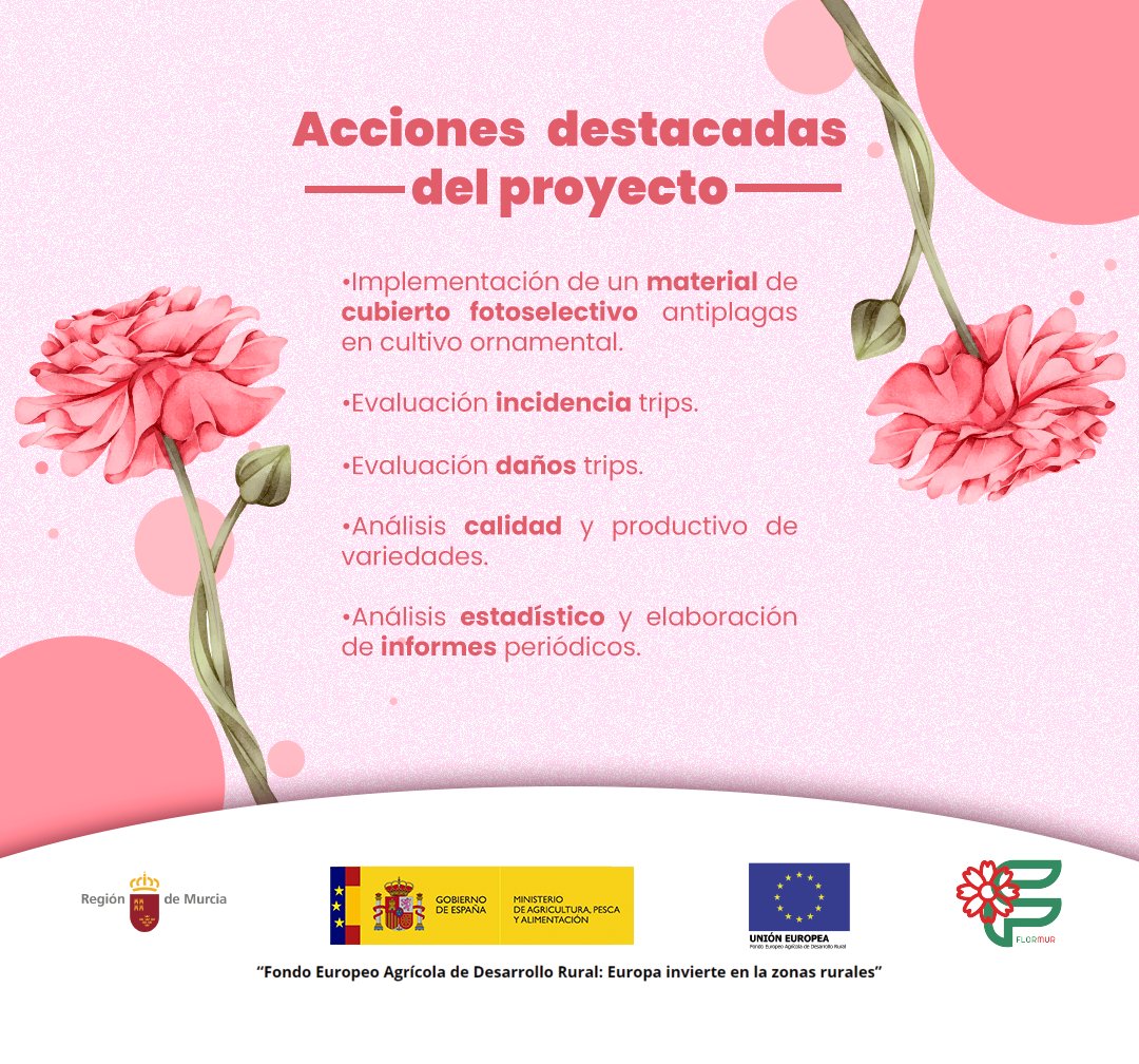 📌Implementación de cubiertas fotoselectivas.
📌 Estudio de materiales UV más eficaces.
📌 Incidencia y daños de trips.
📌 Análisis físico-químico y color de las variedades.
📌 Análisis estadístico e informes con herramientas especializadas
<a href="/gobmapa/">Ministerio de Agricultura, Pesca y Alimentación</a>
#canaraflor #FondosUE #trips