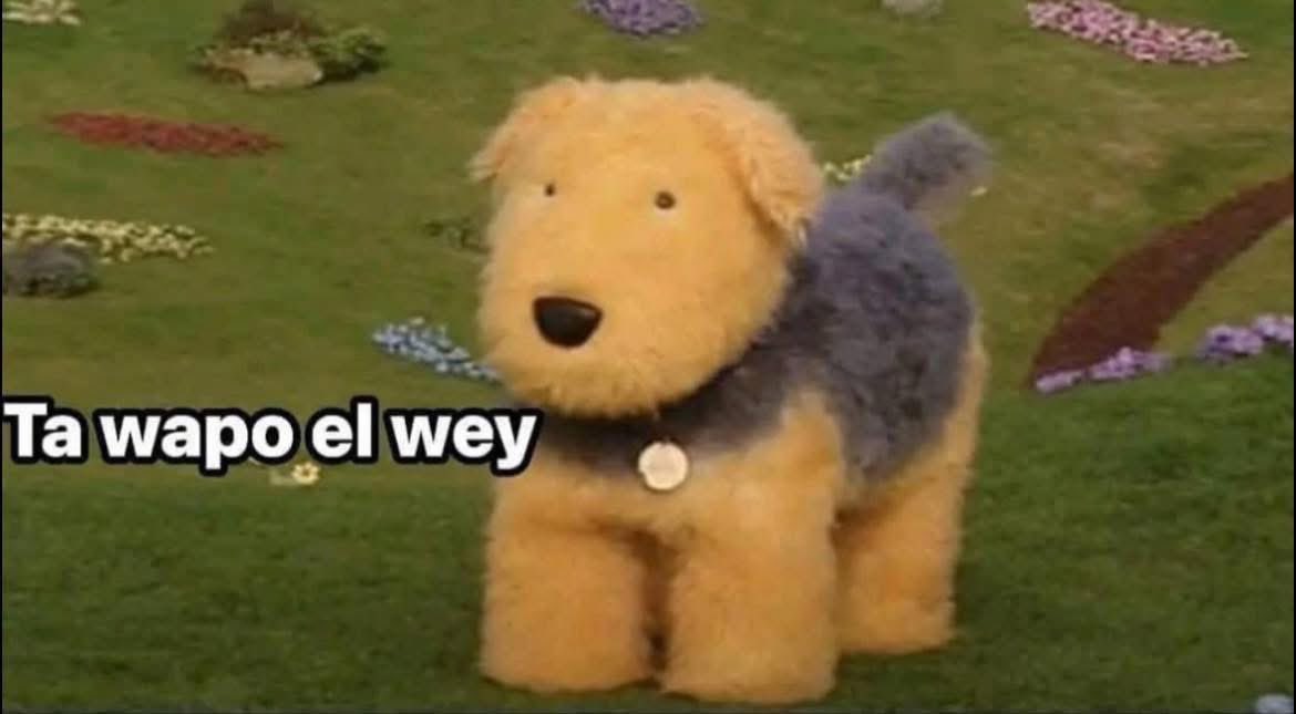 yo la primera vez q lo vi: