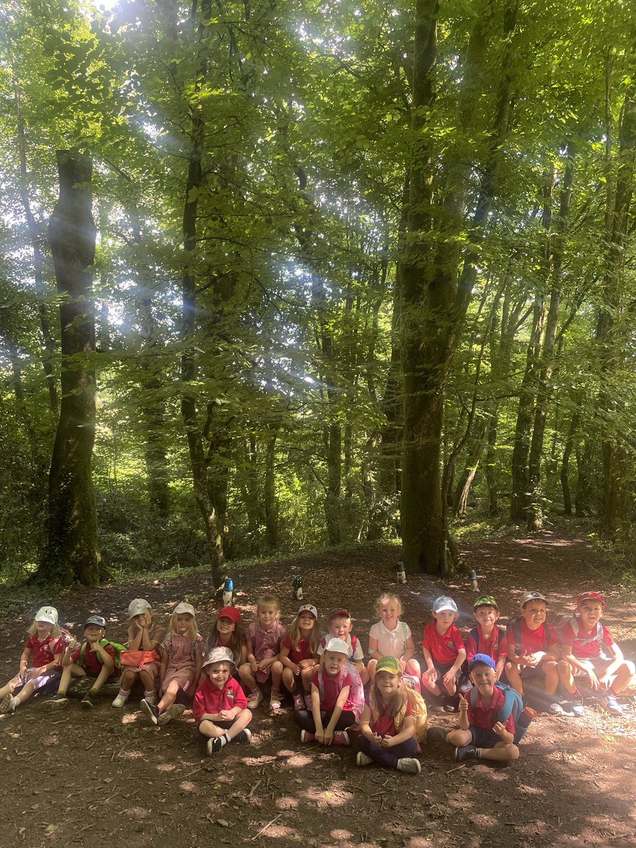 Bach o gysgod ar ôl amser prysur yn archwilio'r goedwig! 🌳 #iechydallesParc