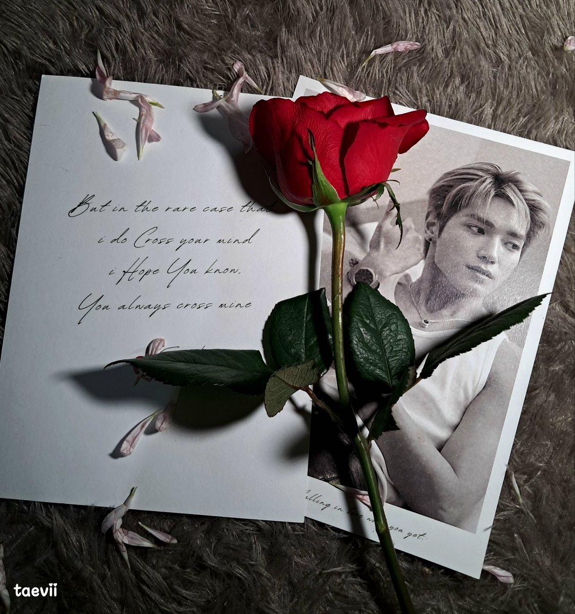 Eviz 🌹 tweet media