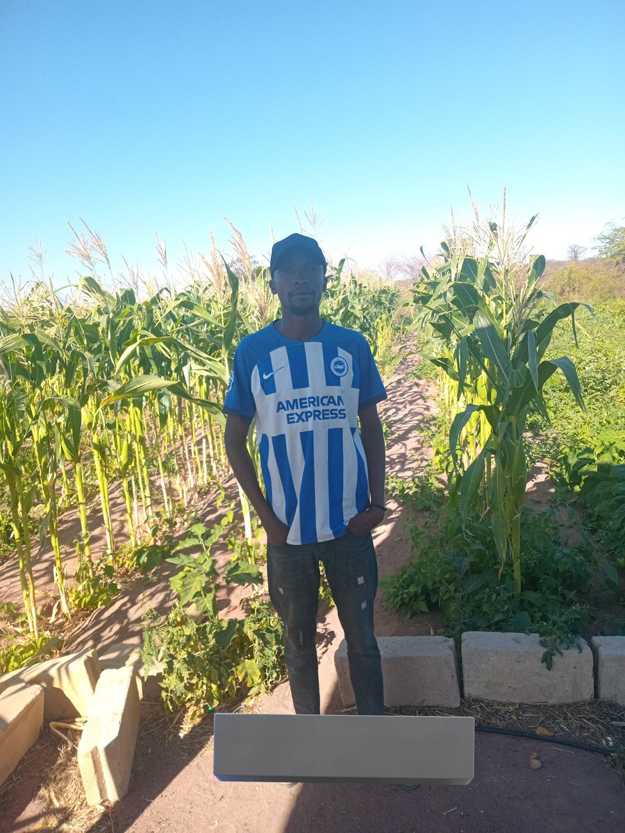 LulengoH's tweet photo. Zamu yetu sasa.  Mipauko mikali. https://t.co/TdETHFMh8c