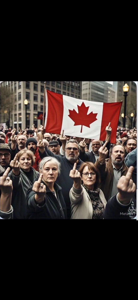 <a href="/bk_belton/">BKBelton 🇨🇦</a> <a href="/PressSec/">Karoline Leavitt</a> In a recent new segment on CNN shows that over 90% of Canadians want us to do with America. 
As a Canadian, I don’t know anyone that views America positively at this point .