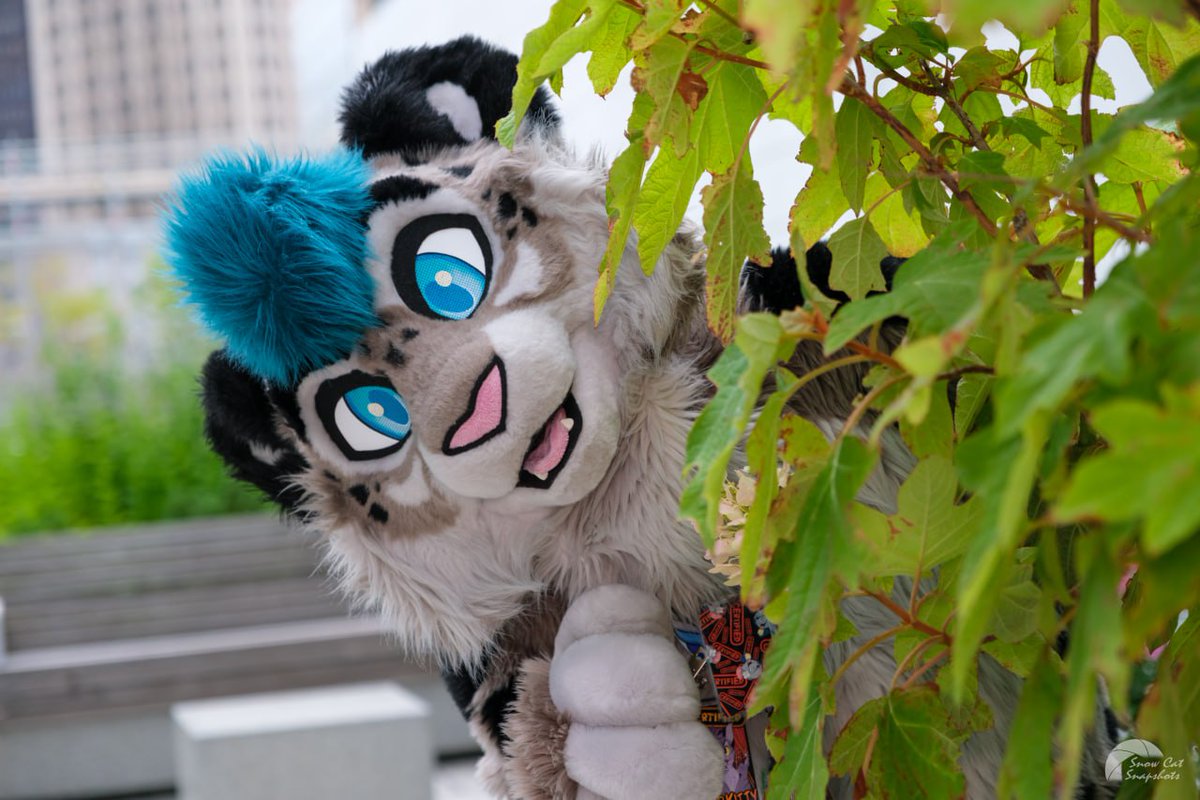 Final call for #anthrocon2025 photos!

Fursuit family? Solos? With a partner? I gotcha covered!

Limited Friday and Saturday slots remaining, drop a comment or Telegram DM!

Price here:
docs.google.com/document/d/1p6…