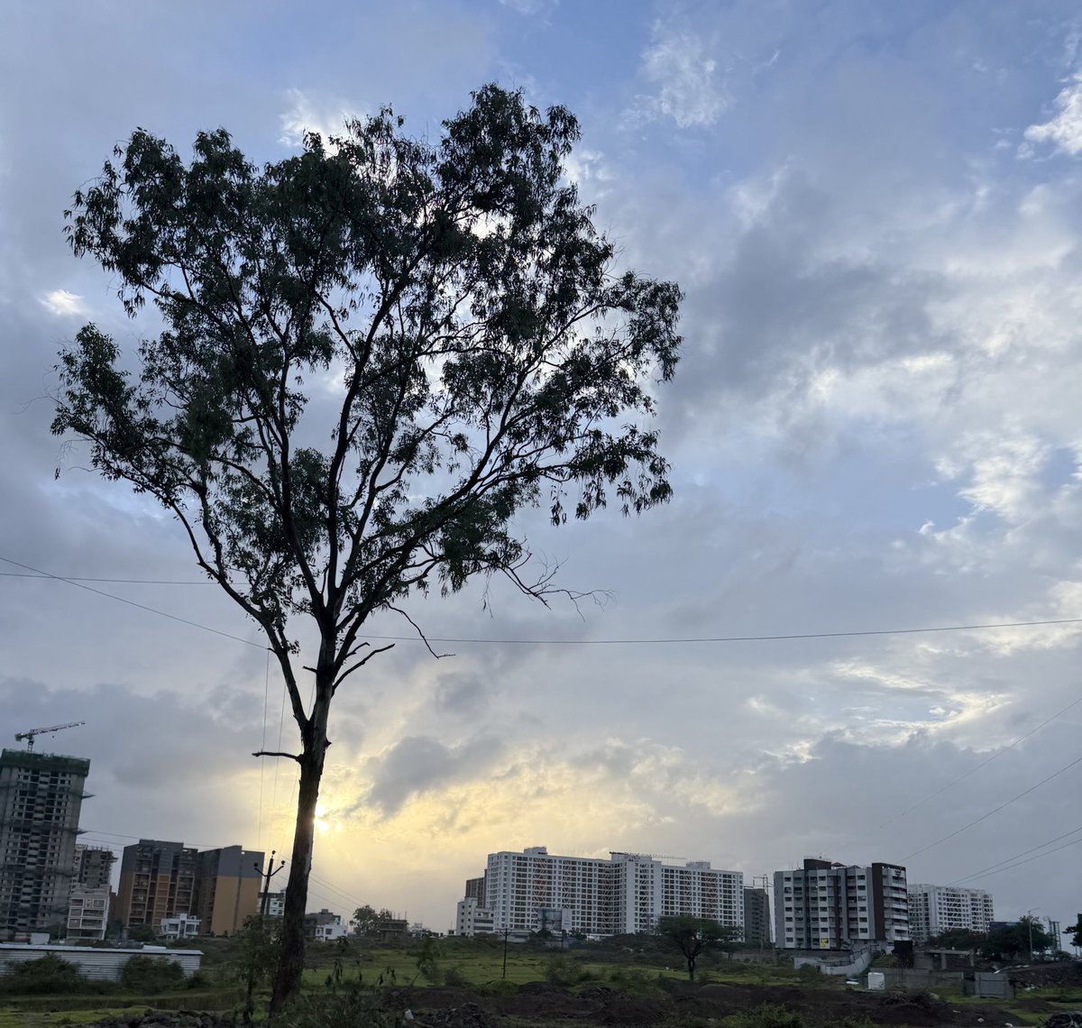 VaishnaviVarkur's tweet image. Beautiful end to a beautiful day
#75hard day 1🥰