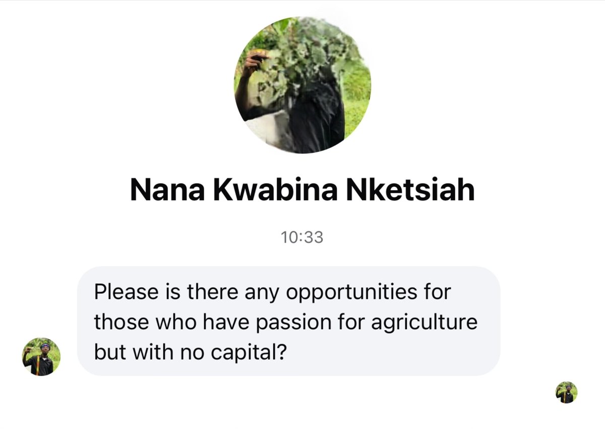 The Ghanaian Farmer (@enyonammanye) on Twitter photo Why are young people reaching out to me for support instead of the Minister <a href="/EricOpokuMP/">Hon. Eric Opoku MP</a> ๐ค๐ฒ
Don't get me wrong, I'm happy to help where I can, but shouldn't the <a href="/mofaghana1/">Ministry Of Food and Agriculture</a> be the go-to source for info on available support, mentorship, & funding?
#SupportYoungFarmers Why are young people reaching out to me for support instead of the Minister <a href="/EricOpokuMP/">Hon. Eric Opoku MP</a> ๐ค๐ฒ
Don't get me wrong, I'm happy to help where I can, but shouldn't the <a href="/mofaghana1/">Ministry Of Food and Agriculture</a> be the go-to source for info on available support, mentorship, & funding?
#SupportYoungFarmers
