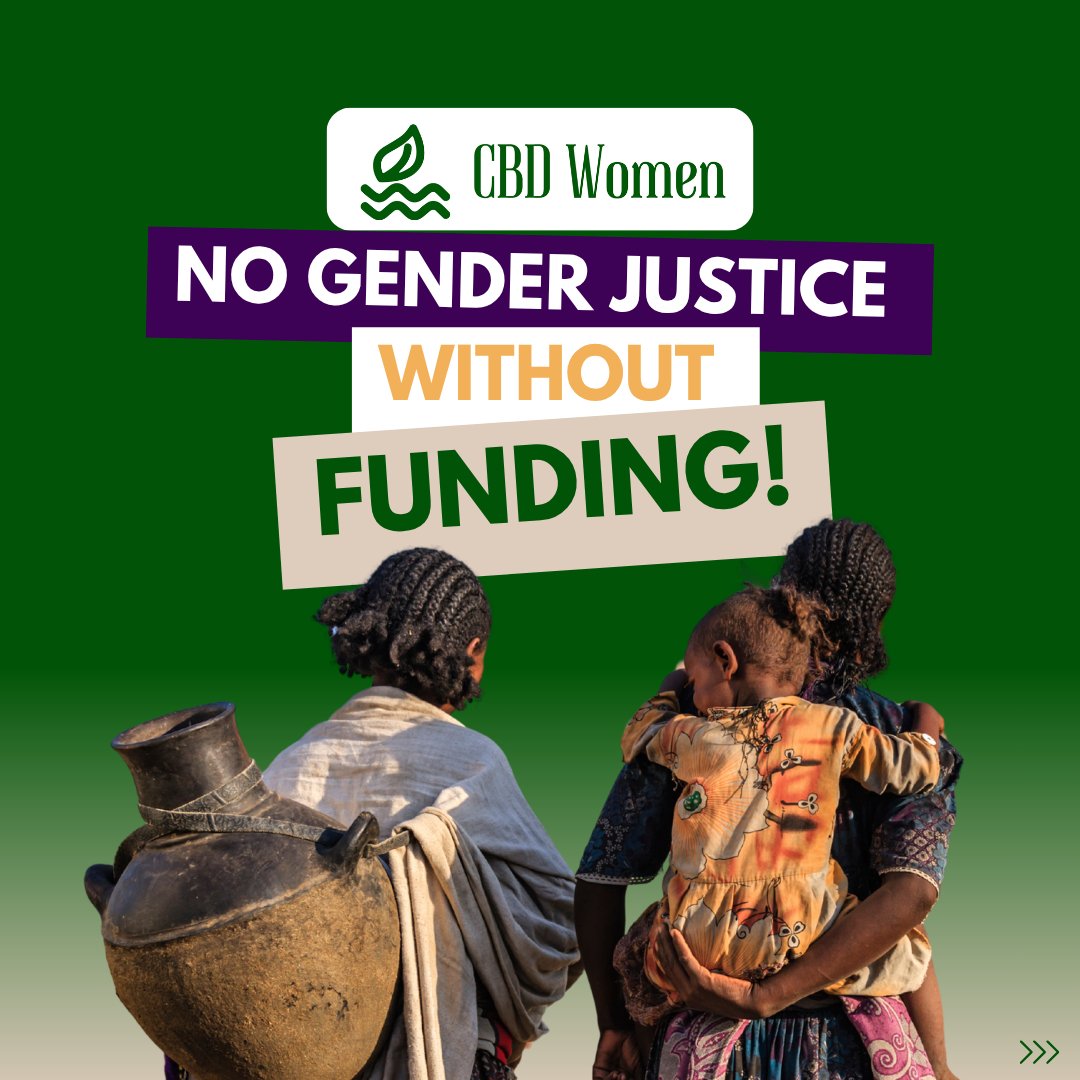 cbd_wc's tweet image. Despite decades of promises, women & girls—incl. Indigenous & local communities still lack access to fair climate & biodiversity finance. 🌿 They lead solutions but remain excluded.
📢 The @cbd_wc demands gender-responsive finance that uplifts their rights & leadership.