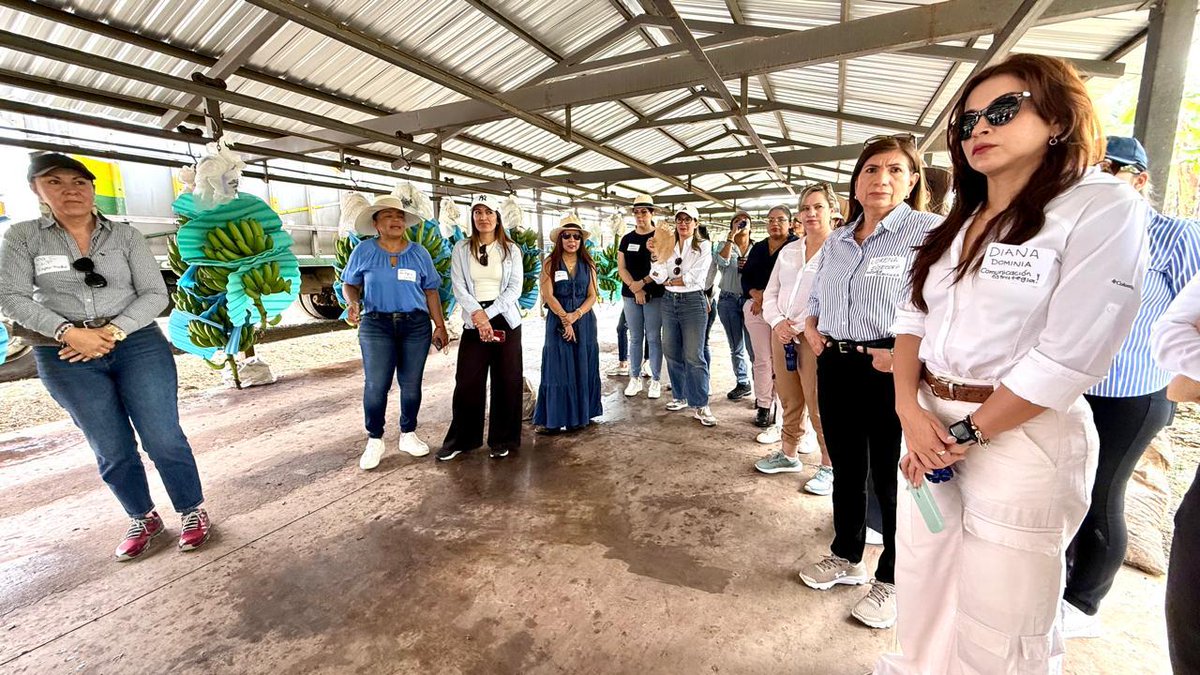 OwitEcuador tweet media