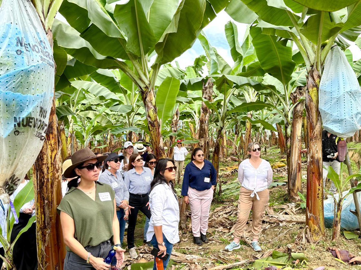 OwitEcuador tweet media