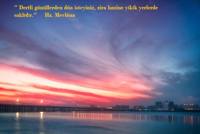 ___KIZILELMA's tweet photo. Selamun aleyküm Arkadaşlar
Hayırlı Huzurlu Akşamlar diliyorum
#KaradanDenizdenHavadan
#freedomconvoy
#EgyptDontObstacleToMarch
#WeAreMadleen
#FreedomConscience
#FreePalestine
#EgyptWakeUpForGaza
#OpenRafahSaveGazaTerörsüz
#ImmediateCeaseireforGazza
#SisiOpentheGatesToGaza https://t.co/wMD8C5tVIT