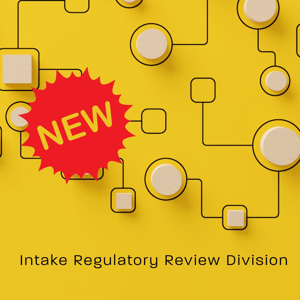 📢 We’re proud to announce the launch of the Intake and Regulatory Review Division—a new division dedicated to improving how we serve residents, businesses, and developers. Learn how it enhances efficiency and streamlines services at a July 23 Open House: bit.ly/40sxWu5