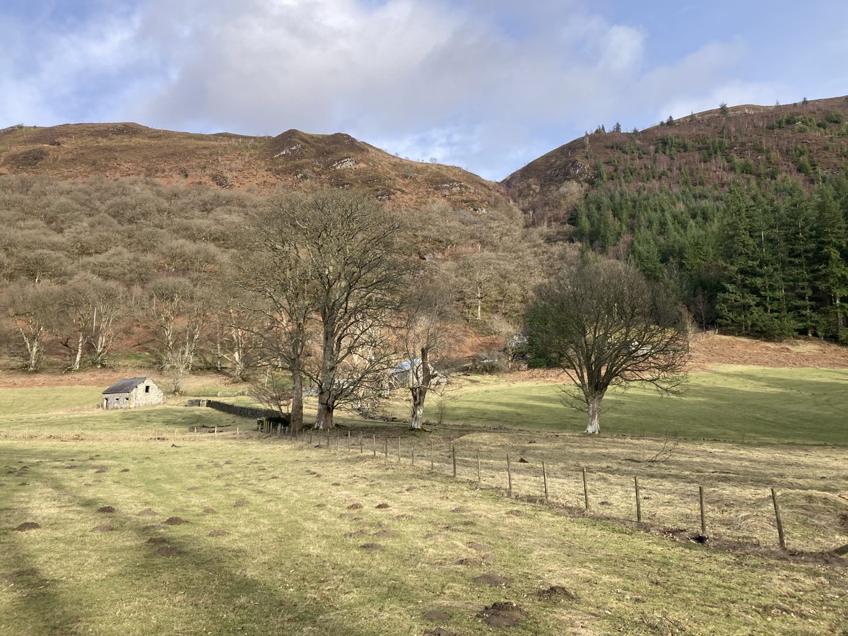 Un barrage victorien, un lac immense, des forêts à perte de vue...Découvrez le lac Vyrnwy : une belle surprise au cœur du Pays de Galles.

🔗 Lire : buff.ly/HbHU2WW 

#LacVyrnwy #PaysDeGalles #BaladeUK