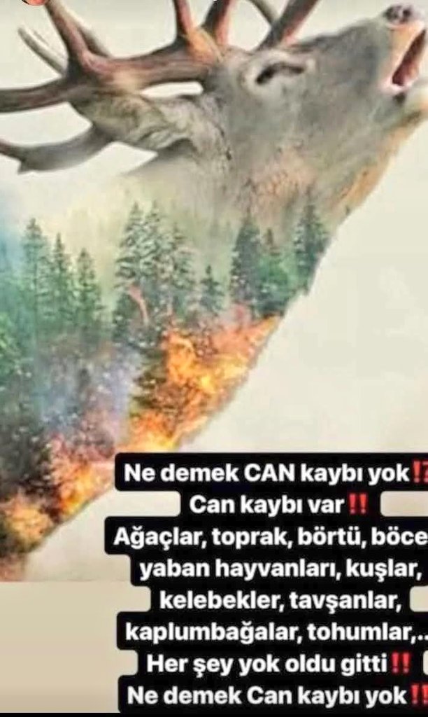 Geçmiş olsun #Türkiyem 🇹🇷
Geçmiş olsun #İzmir..😔
#izmiryanıyor 😔
#seferihisaryanıyor 😔