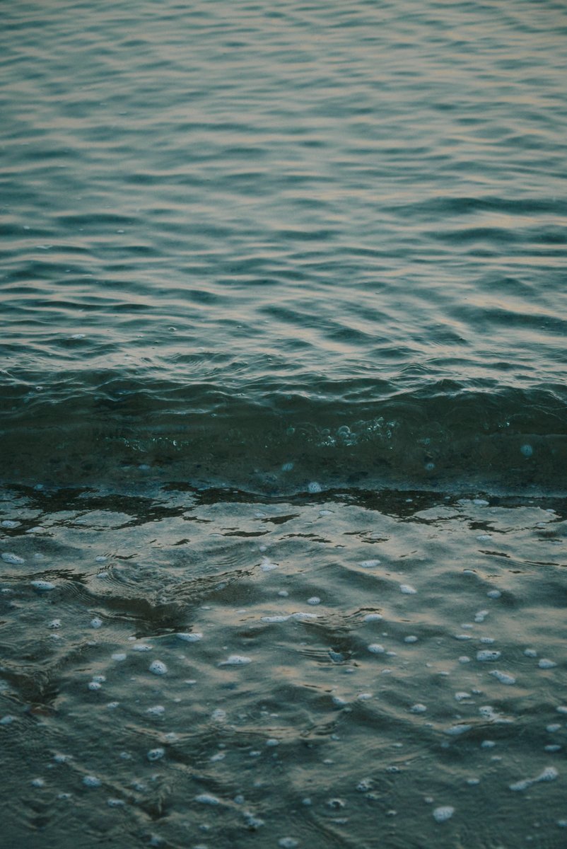 shintake_photo's tweet photo. Stillness https://t.co/gHEiCVvpAH