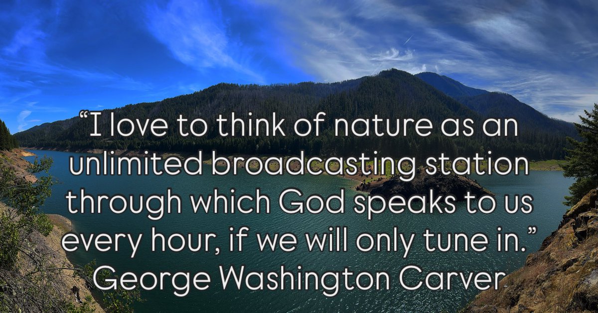 scmarks's tweet image. Tune in to Nature…