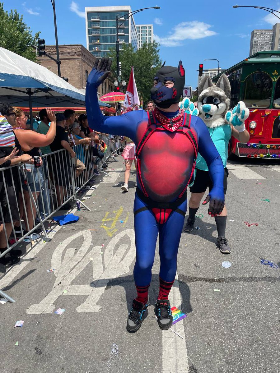 Bouncer.dog on bsky 🔜 COG A/B tweet media