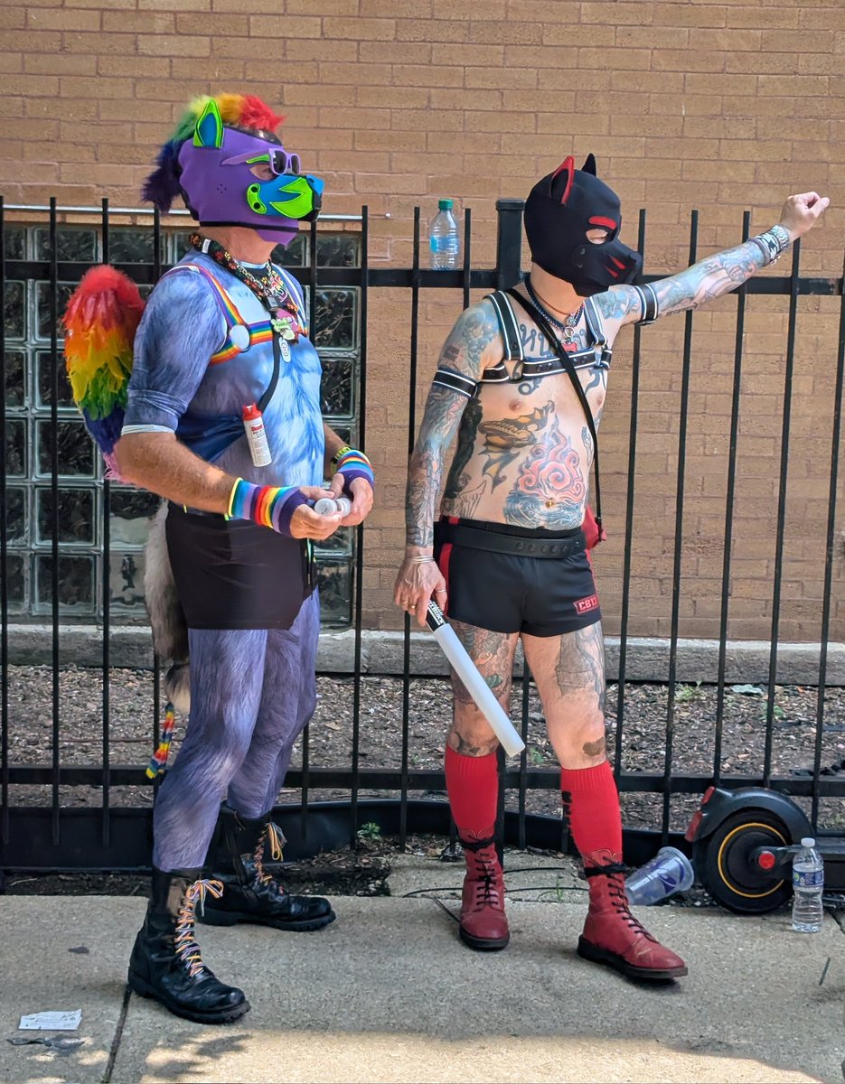 Bouncer.dog on bsky 🔜 COG A/B tweet media