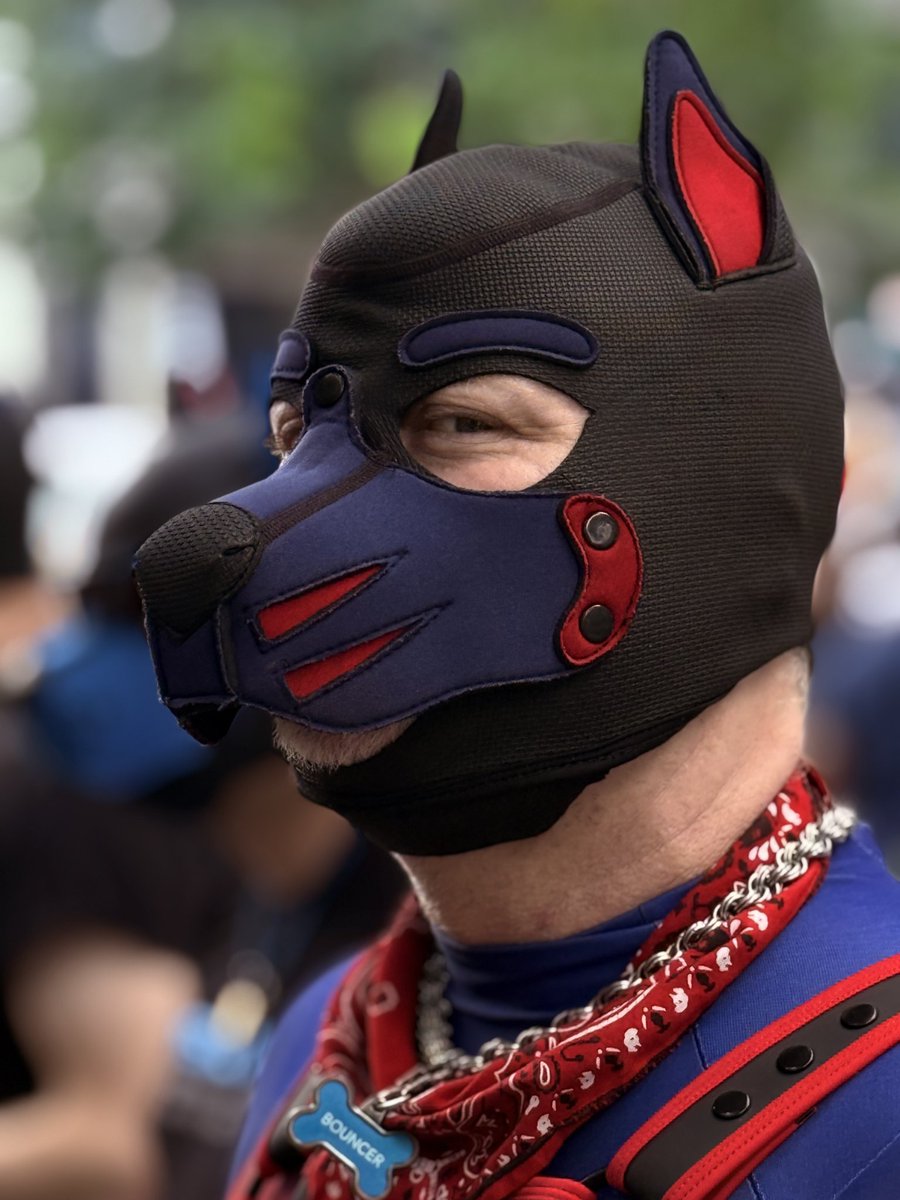 Bouncer.dog on bsky 🔜 COG A/B tweet media