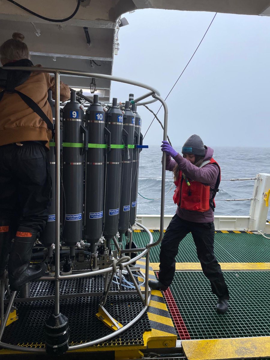 Chemical Currencies of a Microbial Planet (C-CoMP) tweet media