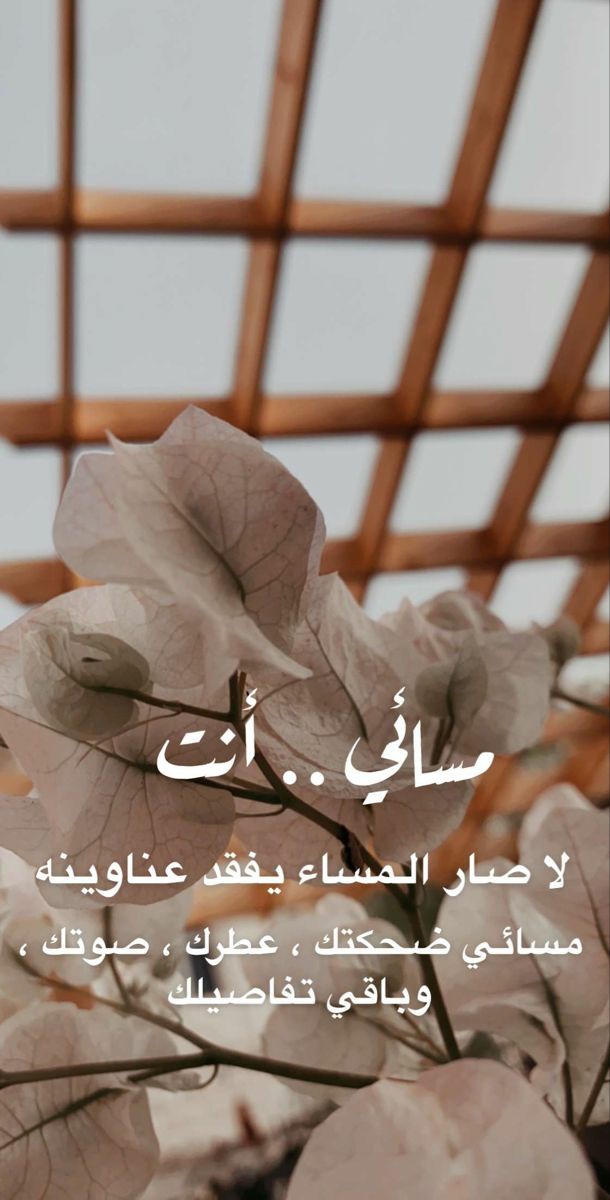 #مسائي_أنت