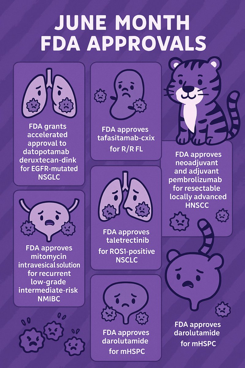 5Reena_thakur's tweet photo. June 2025 – FDA Cancer Drug Approvals
👉Datopotamab deruxtecan – EGFR+ NSCLC
👉Tafasitamab-cxix – R/R FL
👉Pembro – Res HNSCC
👉Mitomycin – NMIBC
👉Taletrectinib – ROS1+ NSCLC
👉Darolutamide – mCSPC
#FDA #Oncology #CLIN #Approval #Cancer #CancerDrugs #June2025 https://t.co/PhMeoQwDKj