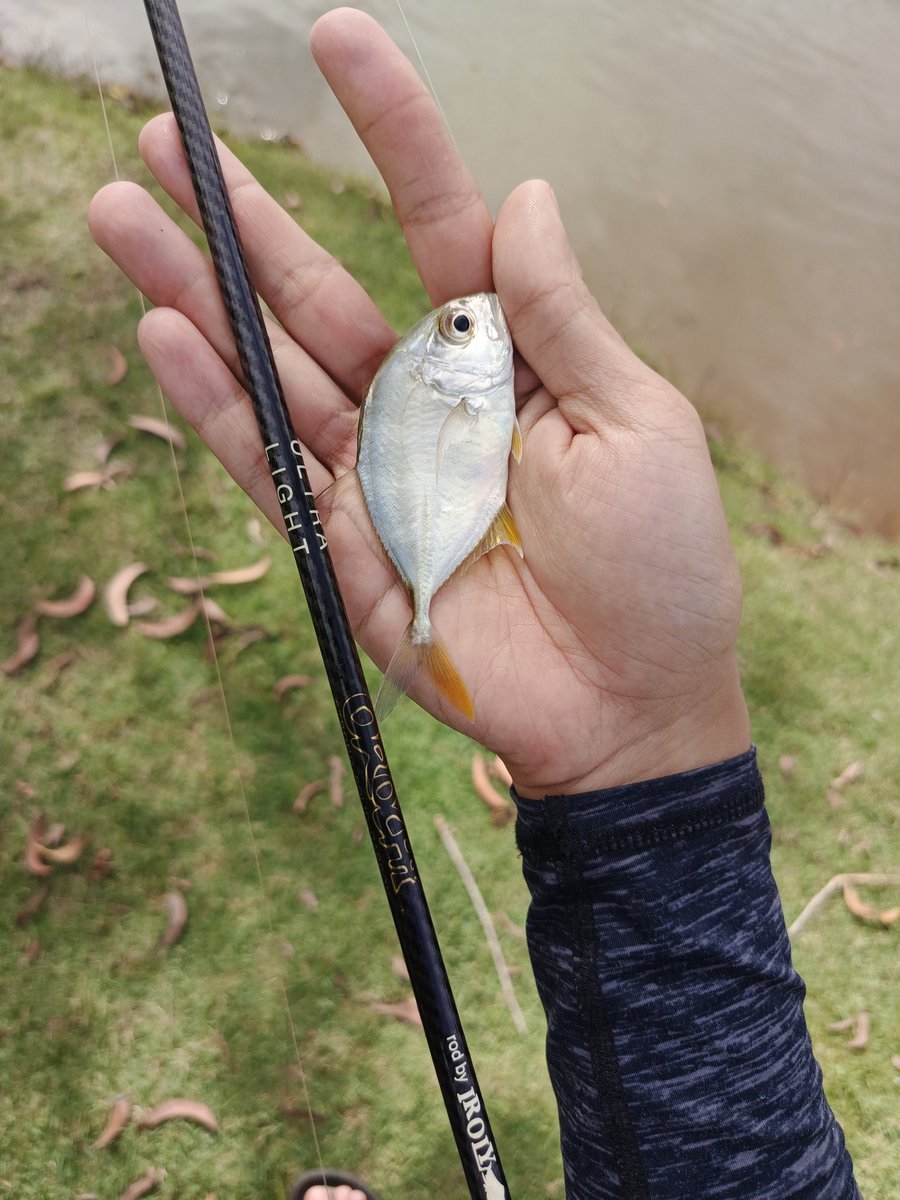 BayuKirana7's tweet photo. @bluebirdgroup Thank you, Bluebird! Caraku Ekowisata adalah dengan pergi memancing atau sportfishing, dilakukan dengan prinsip non-konsumtif seperti catch and release, dapat menjadi bagian dari ekowisata yg menarik & melihat hewan di alamnya jauh lebih menyenangkan
#Birdmain #ExperienceLebih https://t.co/TiK16U81QL