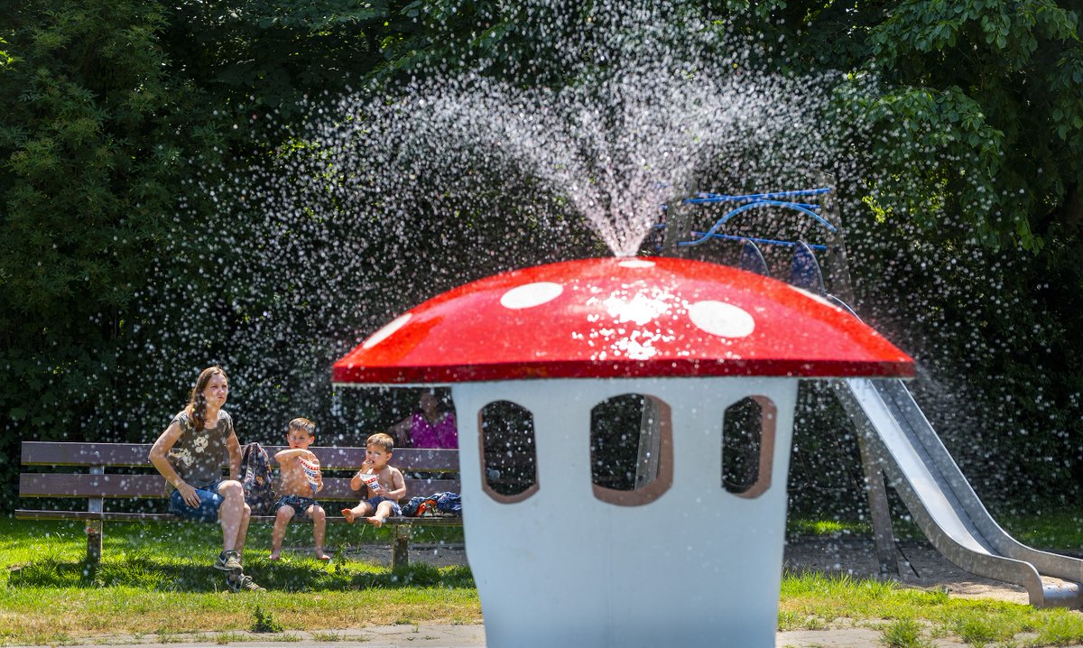 Gemeente Rotterdam (@rotterdam) on Twitter photo ☀️ Het is warm. Waar zoek jij verkoeling? ⛱️
Zwemplekken in Rotterdam:
👉 rotterdam.nl/zwemmen-in-ope…
Koele plekken in de stad:
👉rotterdamsweerwoord.nl/koelekaart
Hittetips van <a href="/GGD_RR/">GGD Rotterdam-Rijnmond</a>:
👉 ggdrotterdamrijnmond.nl/bescherm-jezel…
En vergeet je huisdier niet. Zorg voor voldoende water en schaduw. 🐕 ☀️ Het is warm. Waar zoek jij verkoeling? ⛱️
Zwemplekken in Rotterdam:
👉 rotterdam.nl/zwemmen-in-ope…
Koele plekken in de stad:
👉rotterdamsweerwoord.nl/koelekaart
Hittetips van <a href="/GGD_RR/">GGD Rotterdam-Rijnmond</a>:
👉 ggdrotterdamrijnmond.nl/bescherm-jezel…
En vergeet je huisdier niet. Zorg voor voldoende water en schaduw. 🐕