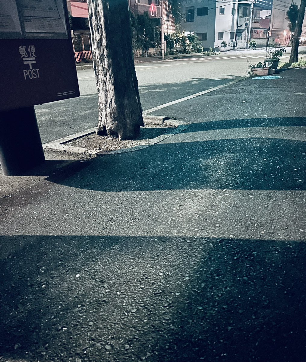 夕方までの仕事を終電までのばした。今月いちばん売上できた。お客さまに感謝。三国駅から自宅まで歩く元気なくバス停のベンチで休憩中。日にち変わった、早く帰らなきゃ。