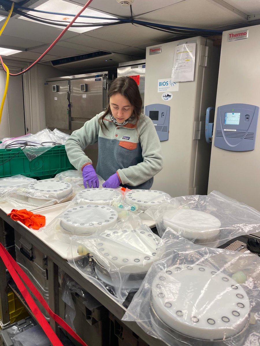 Chemical Currencies of a Microbial Planet (C-CoMP) tweet media